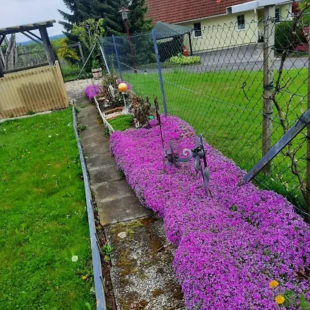 Aussicht Gleichenberg Apartament