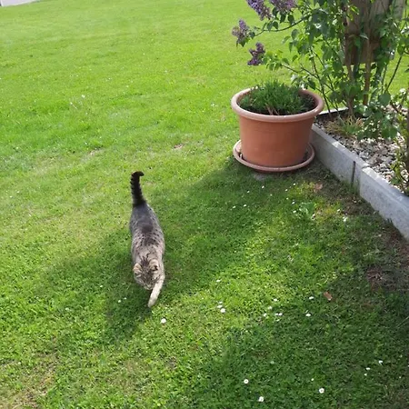 Aussicht Gleichenberg