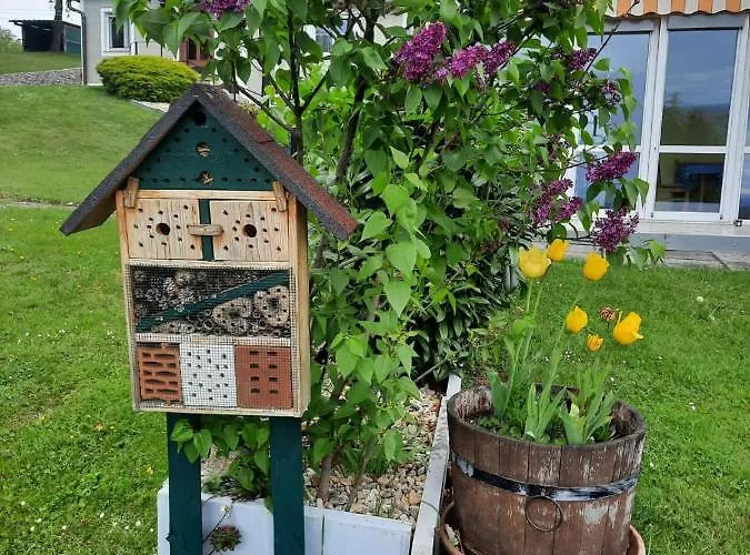 Aussicht Gleichenberg * باد غليشنبرج