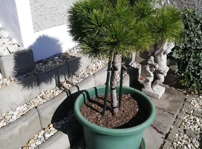 Aussicht Gleichenberg * باد غليشنبرج