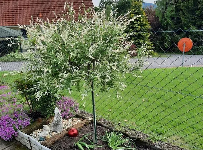 Aussicht Gleichenberg شقة