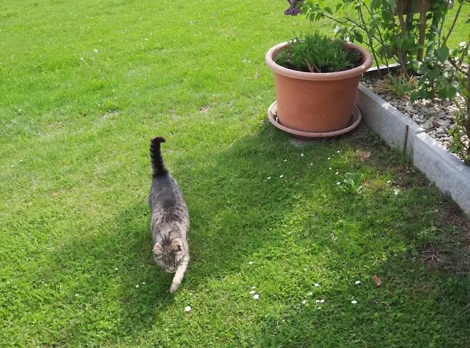 Aussicht Gleichenberg